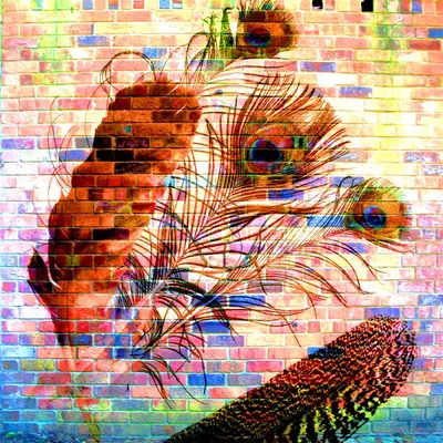 Choosing a Laptop, 2012 Edition