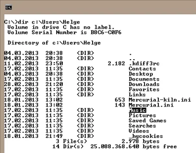 USer profile as seen on the command line