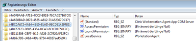 Solved: Citrix Desktop Service Fails to Start, Logs Event 1006