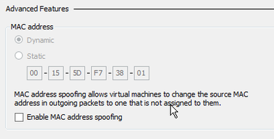 Hyper-V MAC Address spoofing