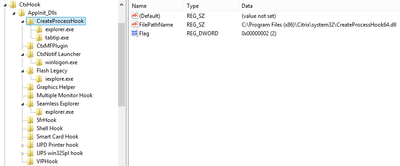 Citrix XenApp/XenDesktop API Hooking Explained