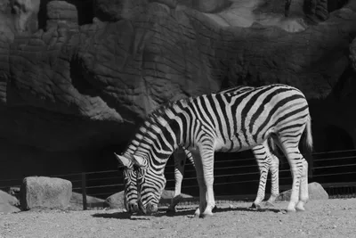 Streamed Video Audio Sync Problems on Windows 10 / Realtek Sound