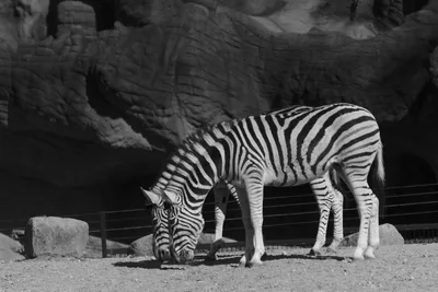 Streamed Video Audio Sync Problems on Windows 10 / Realtek Sound