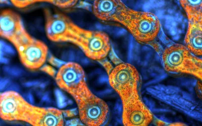 Is Blockchain the Right Technology for My Application?