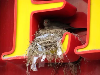 End-to-End-Encrypted Team Communication & Collaboration Tools