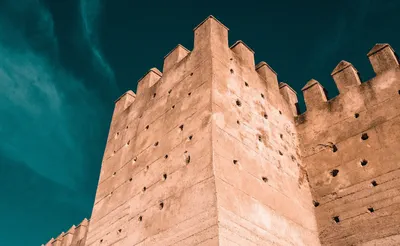 Top 10 IT Security Tips for Individual Users