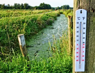 Splunk Search Results: JSON to HTML Table Conversion in PowerShell