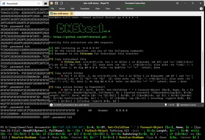 DNS Exfiltration & Tunneling: How it Works & DNSteal Demo Setup