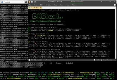 DNS Exfiltration & Tunneling: How it Works & DNSteal Demo Setup