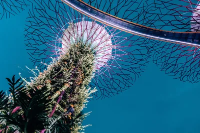 Unbound DNS Server Configuration & Static IPv6 Address on Proxmox