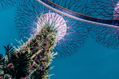 Unbound DNS Server Configuration & Static IPv6 Address on Proxmox