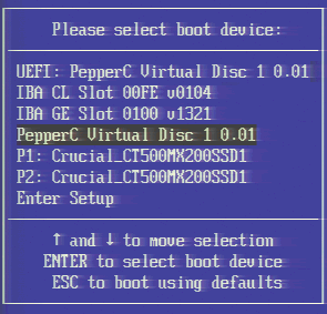 Hetzner LARA select boot device