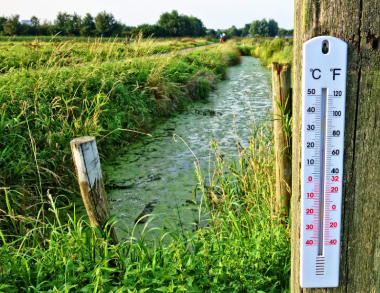 Splunk Search Results JSON to HTML Table Conversion in PowerShell